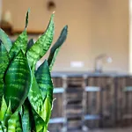 Apartament Gutgemacht