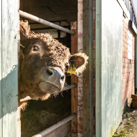 Gutgemacht Διαμέρισμα