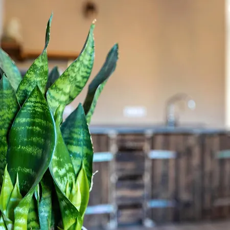 Gutgemacht Διαμέρισμα