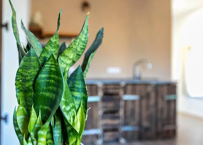 Gutgemacht Apartment